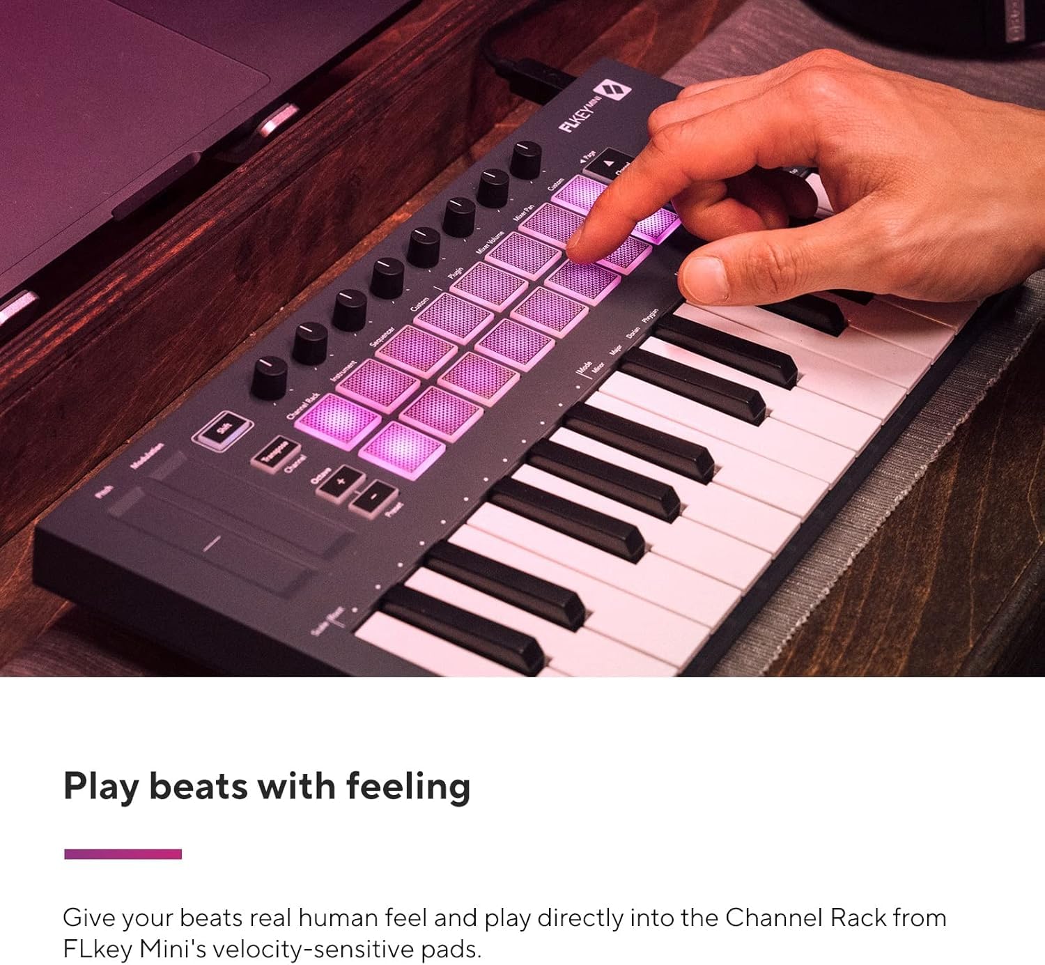 Amazon.co.jp: novation ノベーション/FL KEY MINI MIDIキーボード