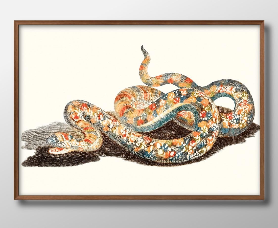 Amazon.co.jp: 幸運の蛇 ヘビ ビンテージ A3 サイズ おしゃれ 絵画