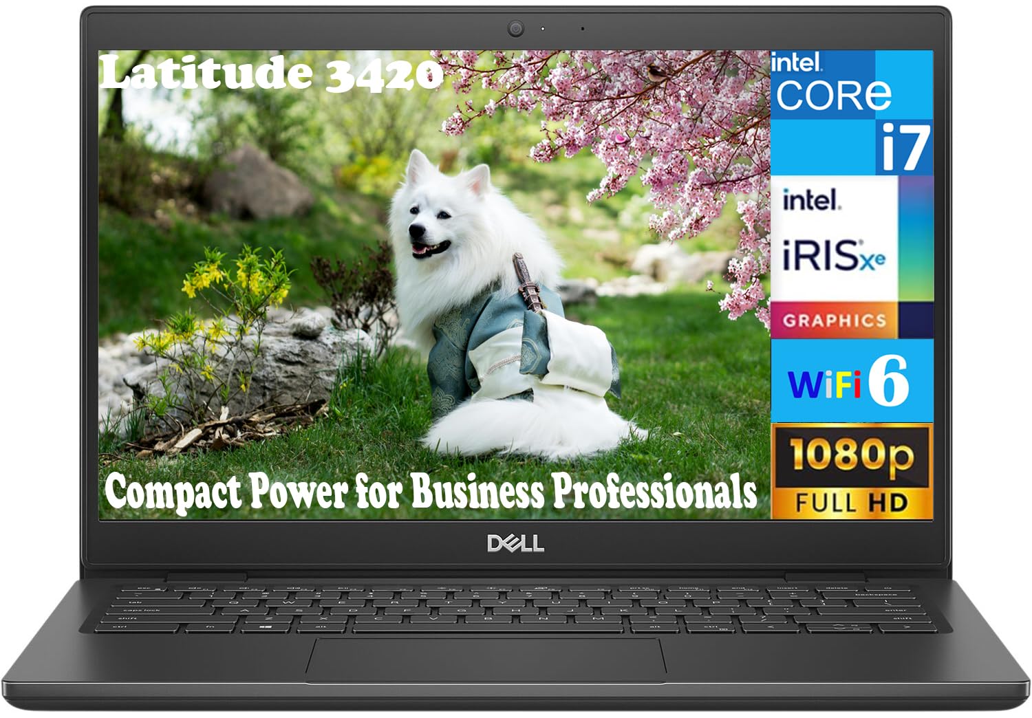 Amazon.com: Dell Latitude 3420 Business Laptop 14.0