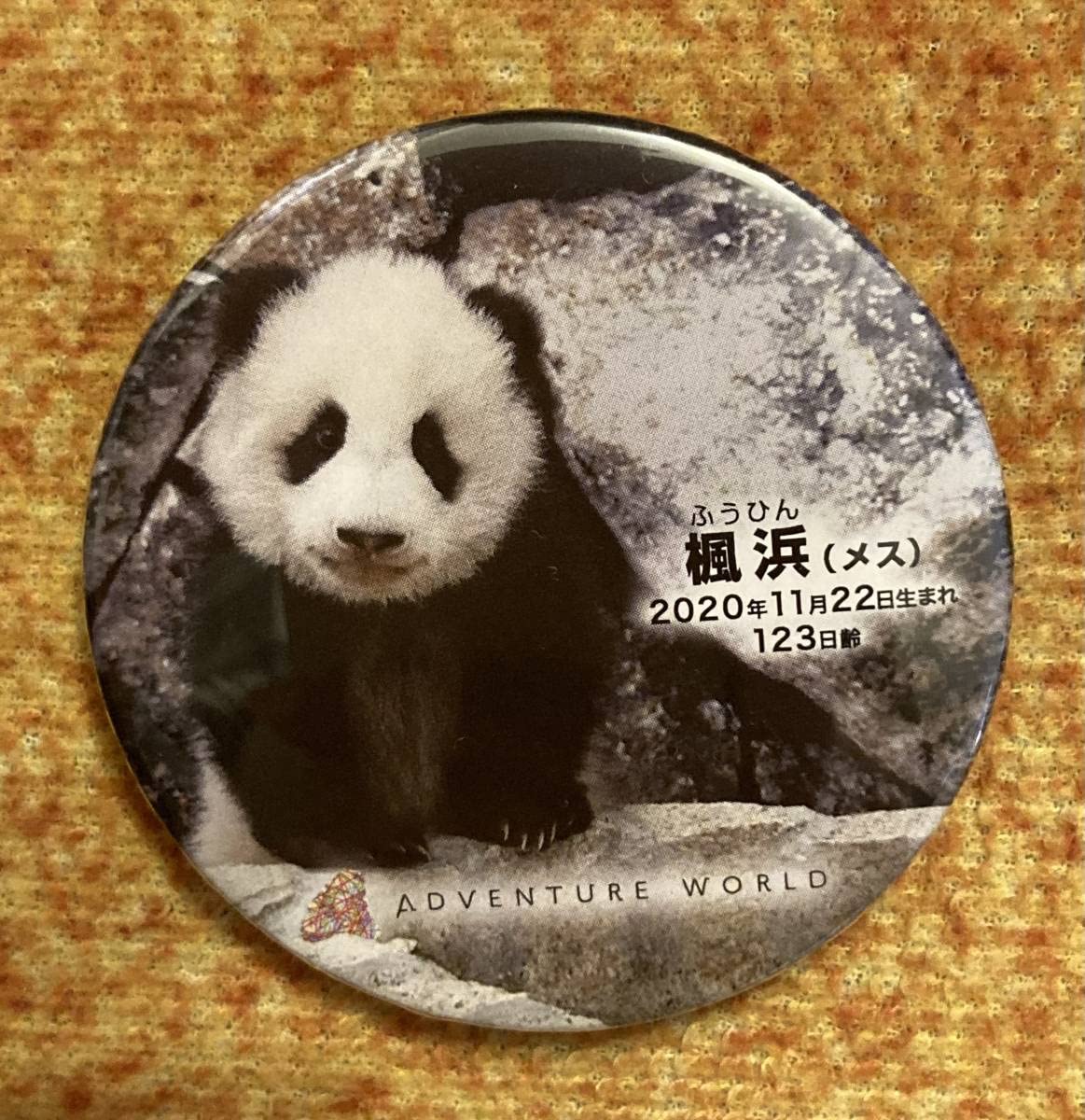 Amazon.co.jp: 楓浜 缶バッチ アドベンチャーワールド パンダ