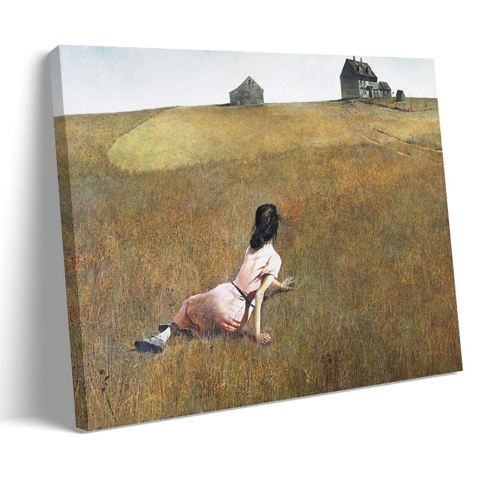 Amazon.co.jp: Andrew Wyethアンドリュー・ワイエス アートワーク