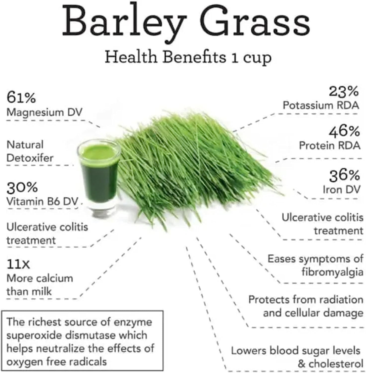 Amazon | Barley Grass Powder, Barley Grass Powder Organic Japan