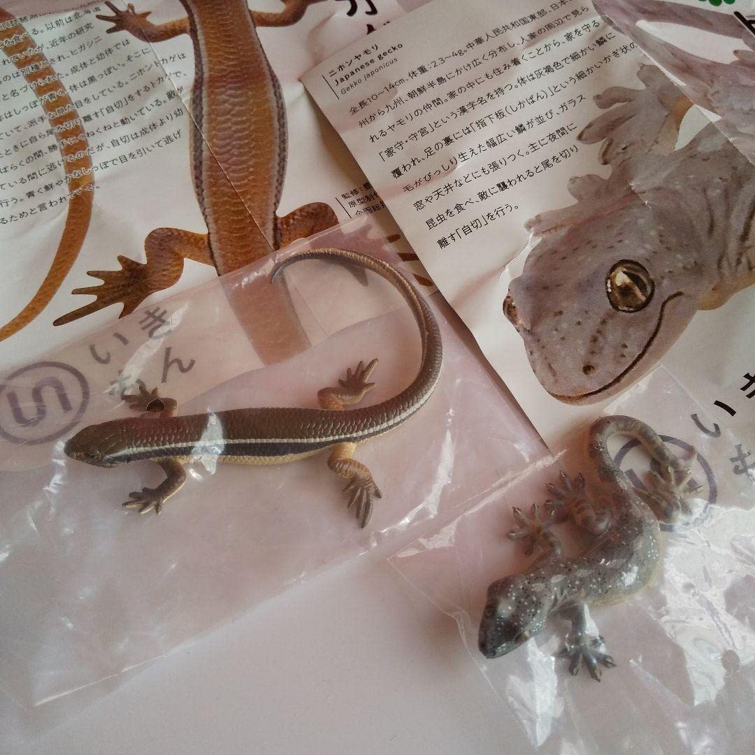 Amazon | ネイチャーテクニカラー トカゲとヤモリ ガチャ | カプセル