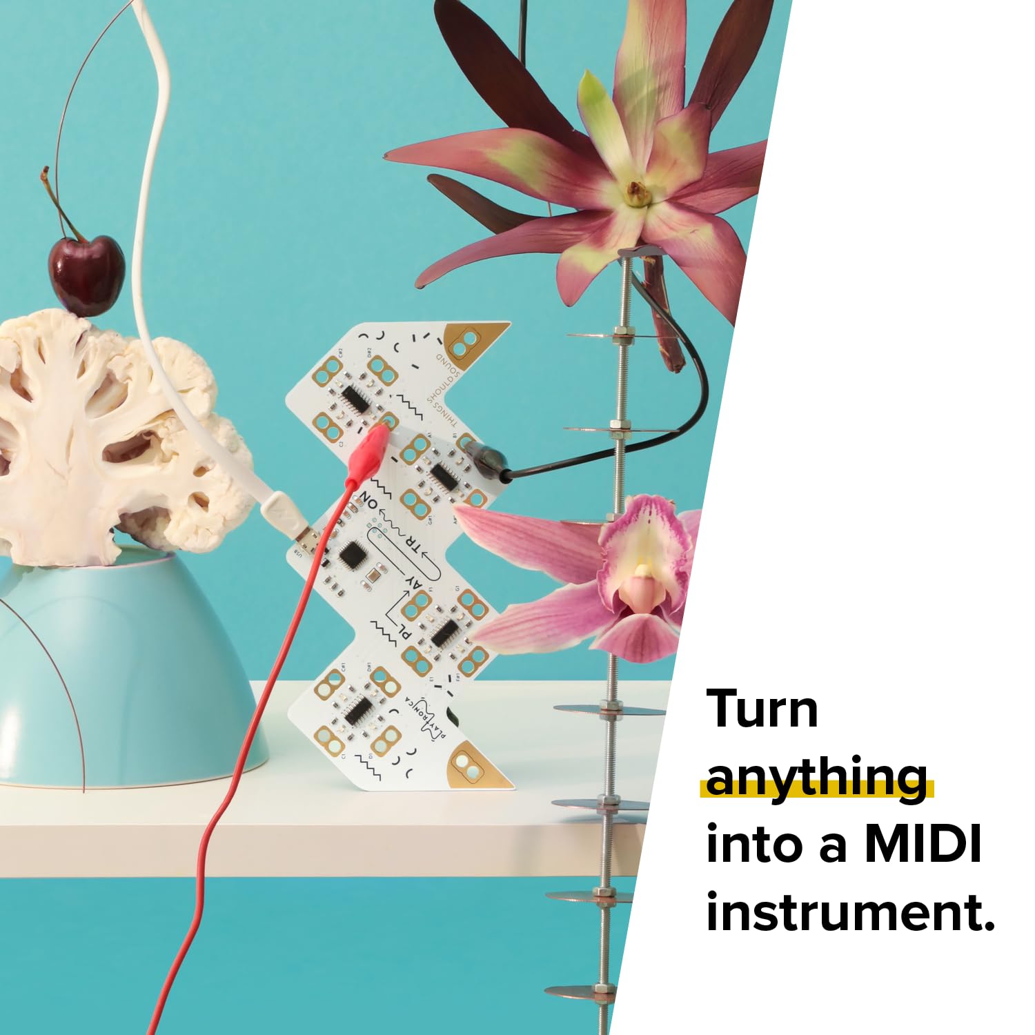 Amazon | Playtron | MIDIコントローラー | 最大16個の導電性