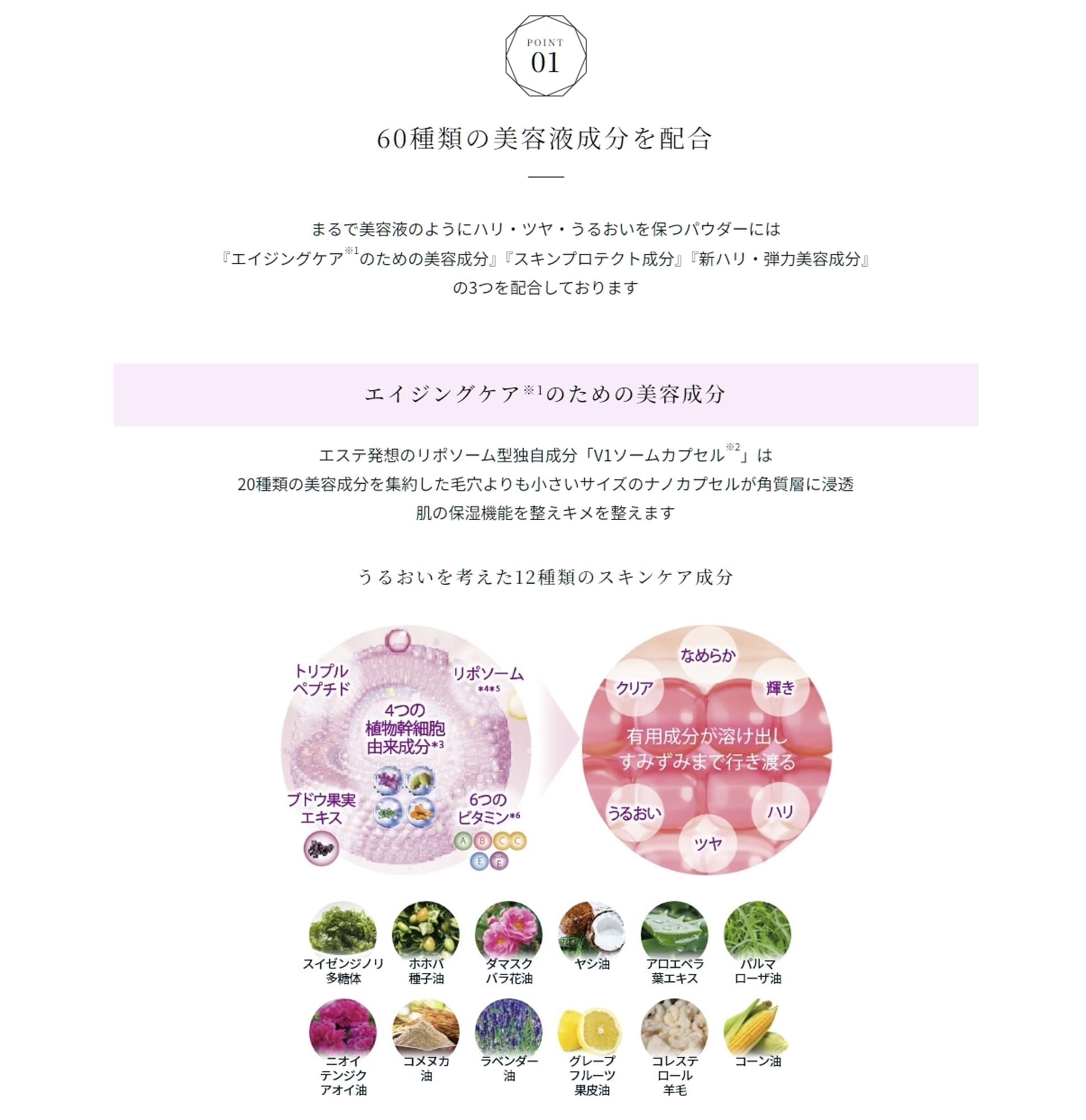 Amazon | たかの友梨 エステファクト エッセンスパウダー EX 23g パフ2