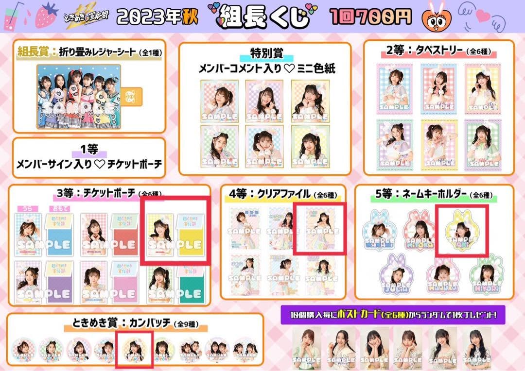 Amazon.co.jp: 超ときめき?宣伝部 菅田愛貴 組長くじ : おもちゃ