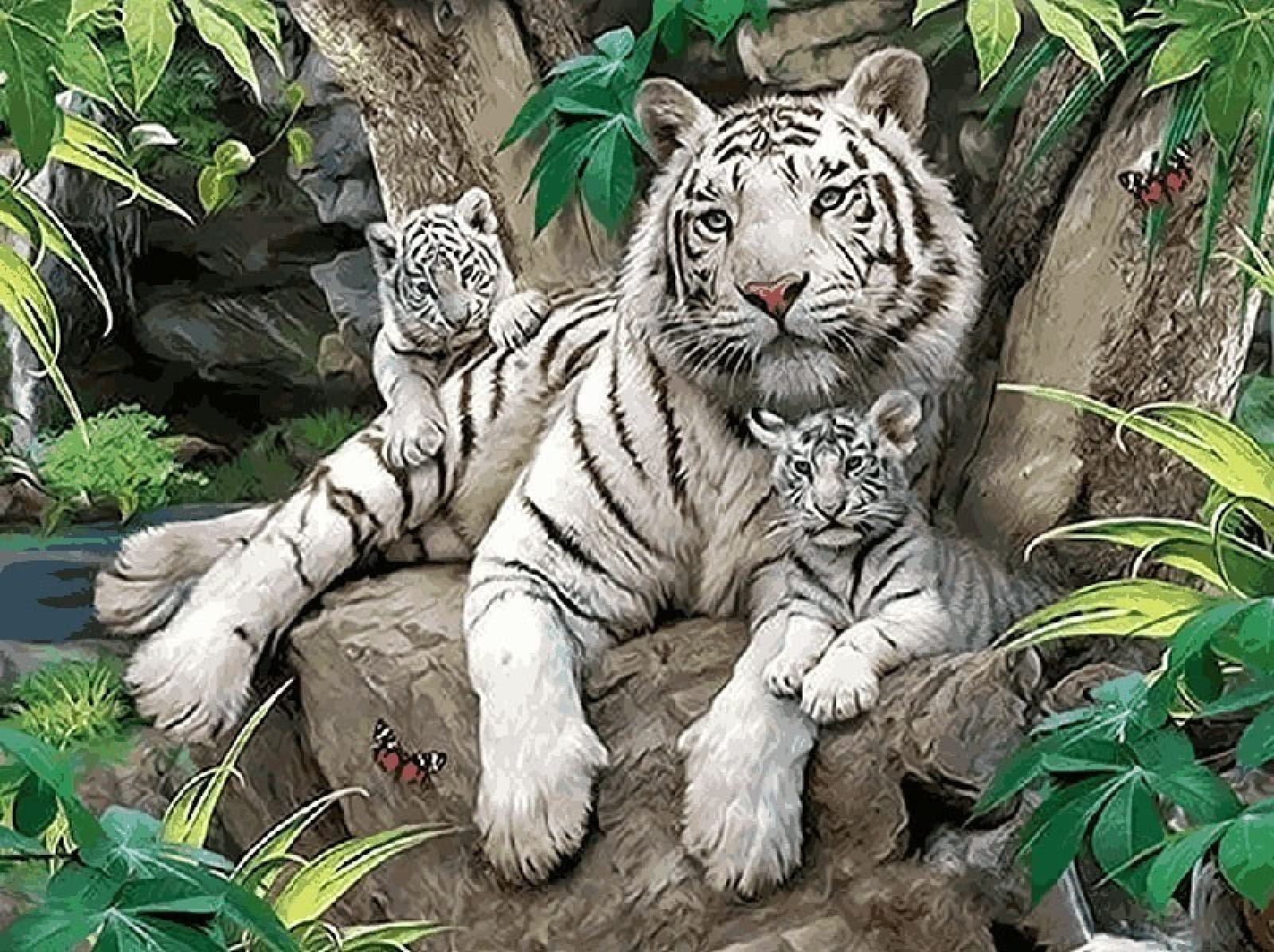 冬うー特価』 Aykid Tiger アイキッド タイガー 絵画 油絵 オススメ