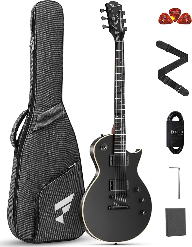 Amazon | Fesley 39インチ LP エレキギターキット フルサイズ ソリッド
