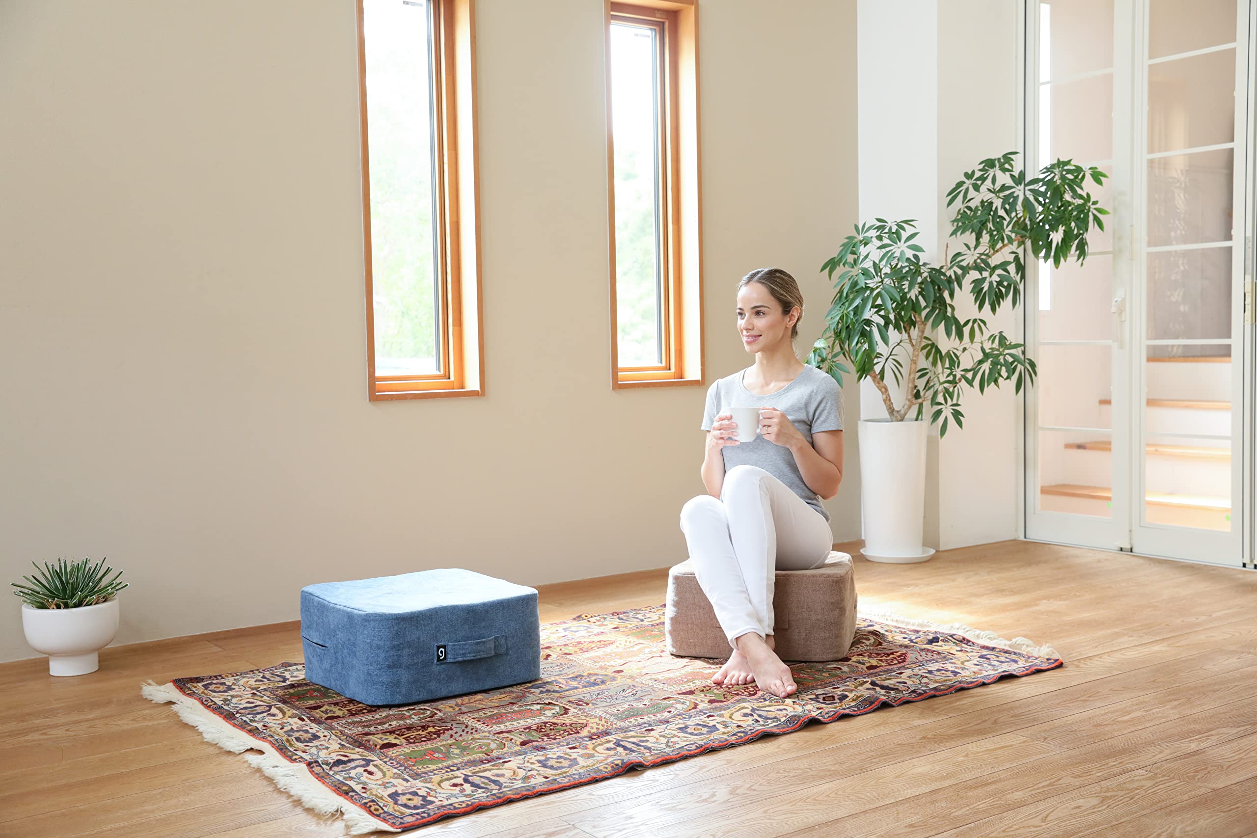 ジムテリア シェイプキューブ スカイブルーF シェイプキューブ - gymterior