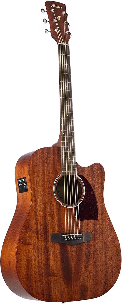 Amazon | Ibanez アイバニーズ パフォーマンス・シリーズ エレアコ