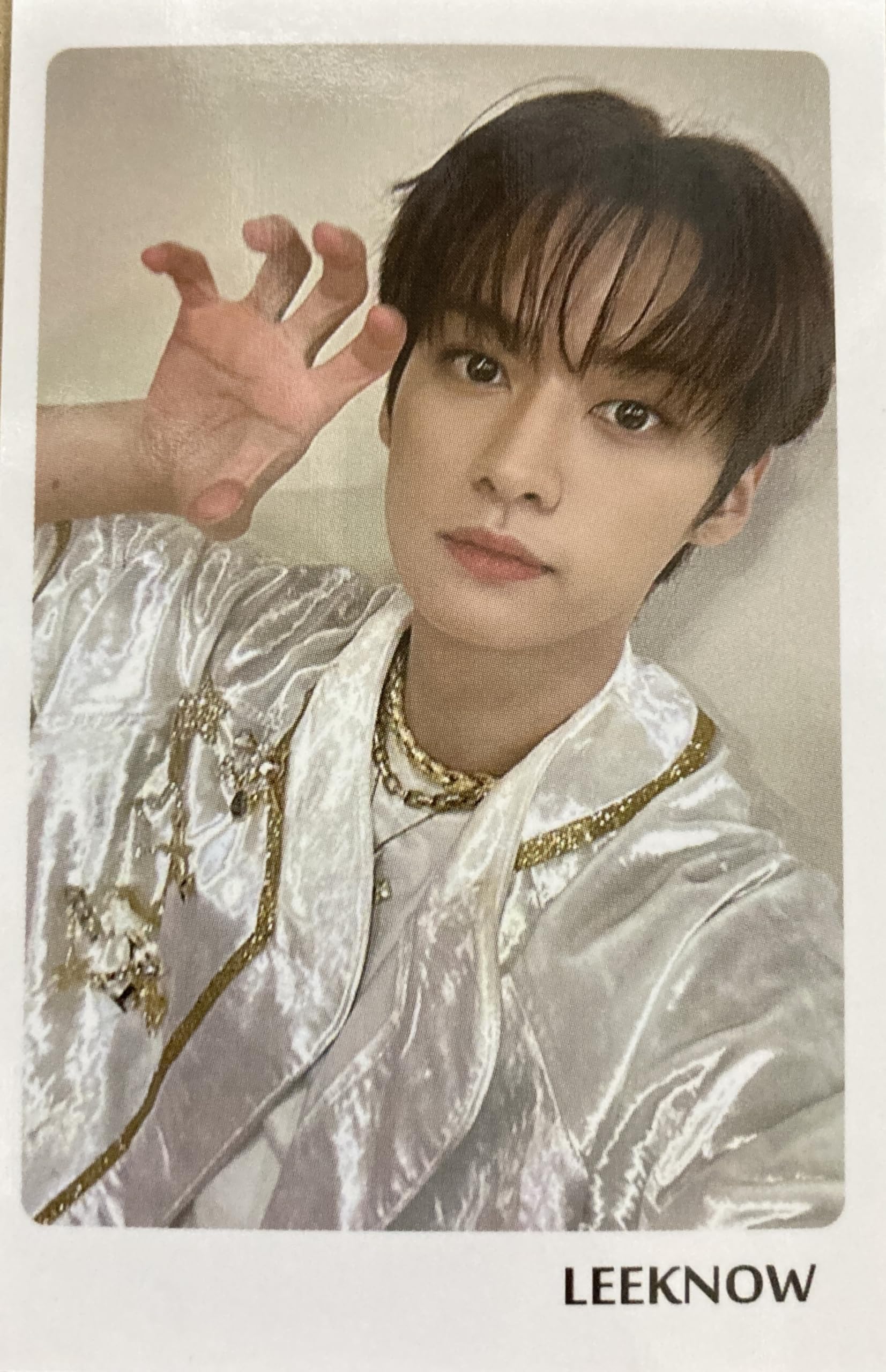 Amazon.co.jp: スキズ リノ グッズ フォトカード56枚セット メッセージ