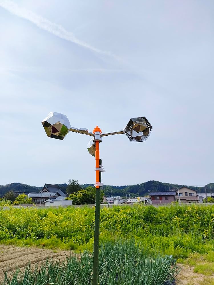 818nSX-fDuL._AC_UF1000,