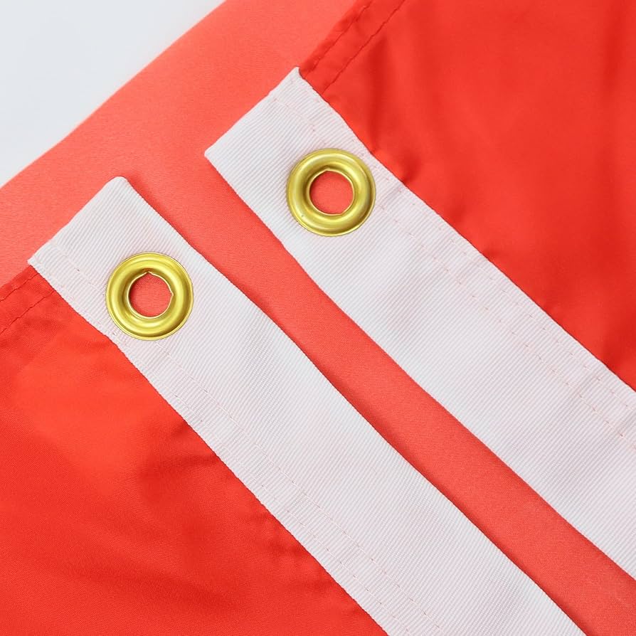 Amazon.co.jp: AZ 旗 スイス国旗 2フィート x 3フィート スイス国旗 60