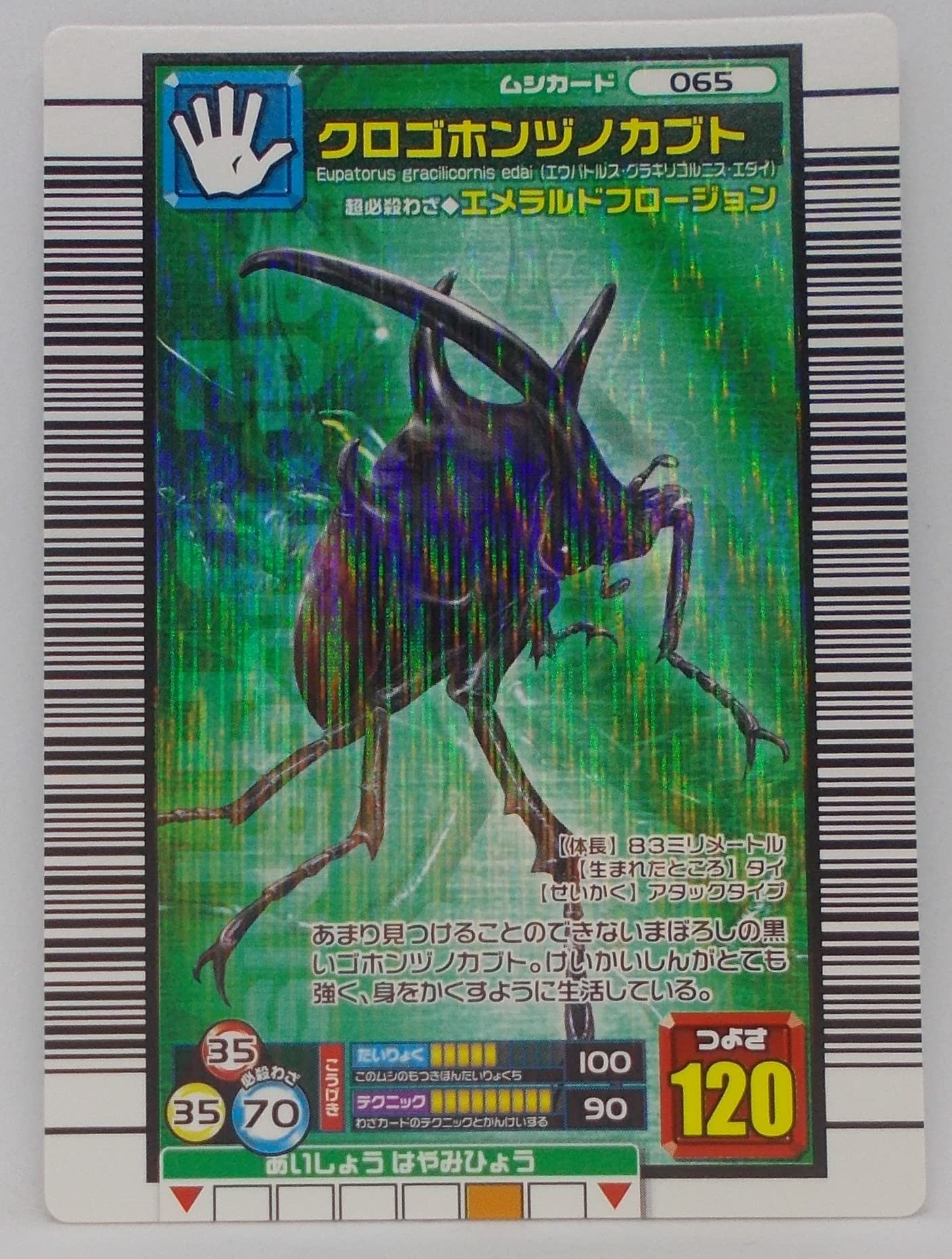 Amazon.co.jp: ムシキング 甲虫王者ムシキング ムシカード 065 クロ