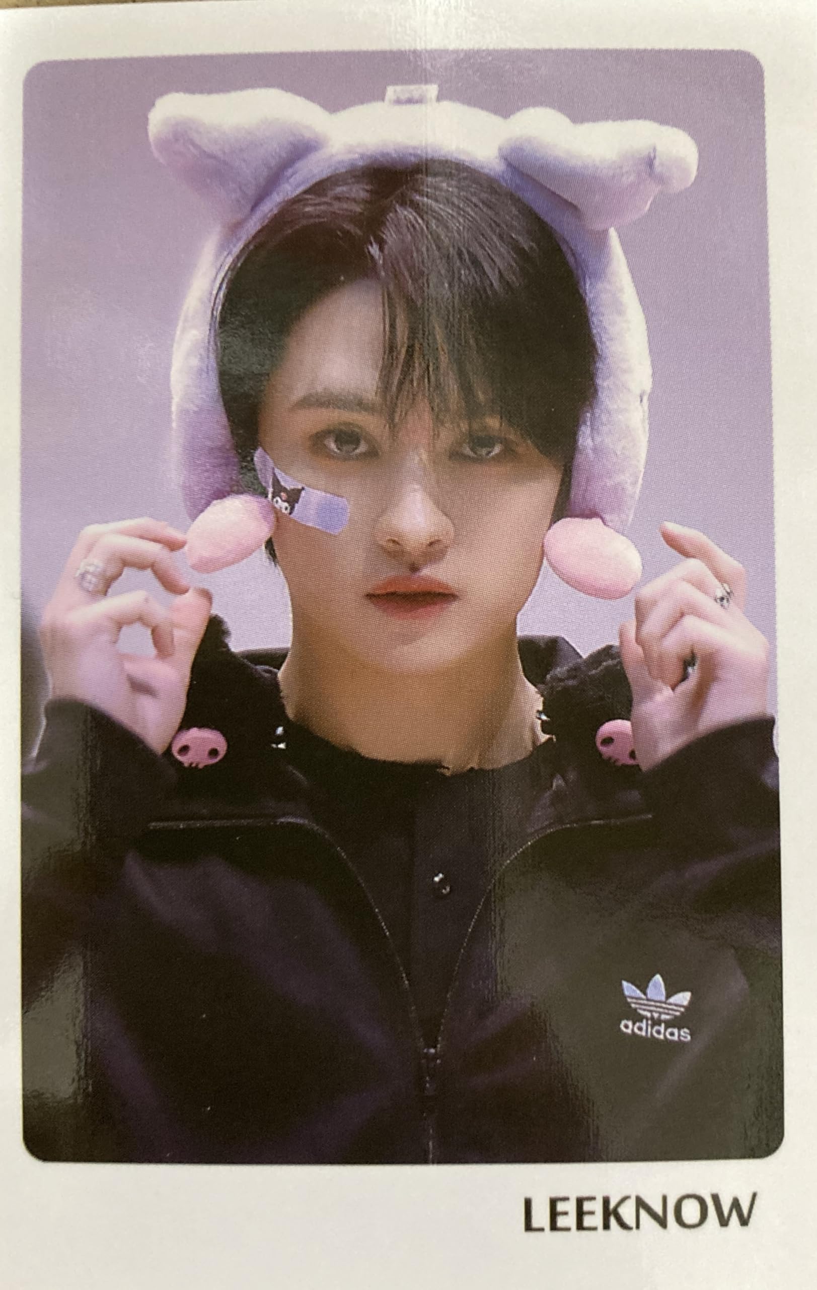 Amazon.co.jp: スキズ リノ グッズ フォトカード56枚セット メッセージ