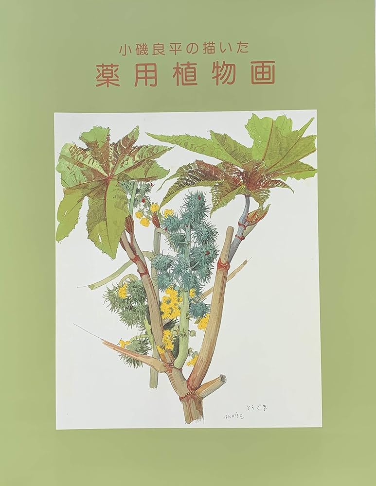 小磯良平の描いた薬用植物画 [図録] | 神戸市立小磯記念美術館 編 |本