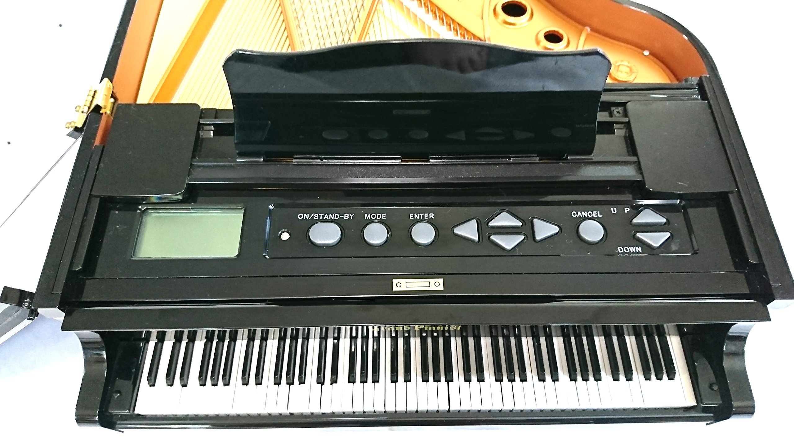 Amazon | グランドピアニスト | おもちゃ雑貨 | おもちゃ