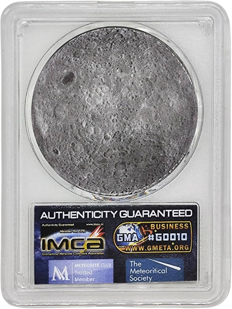 813kwZU26iL._AC_UF894,