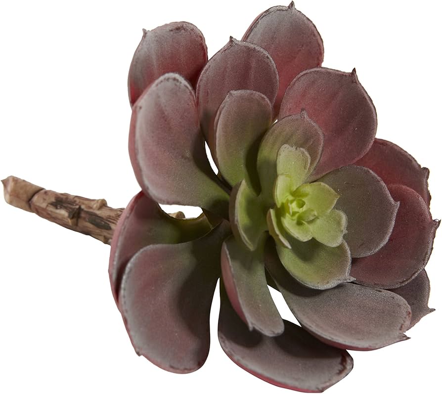 813scxKS90L._AC_UF894,