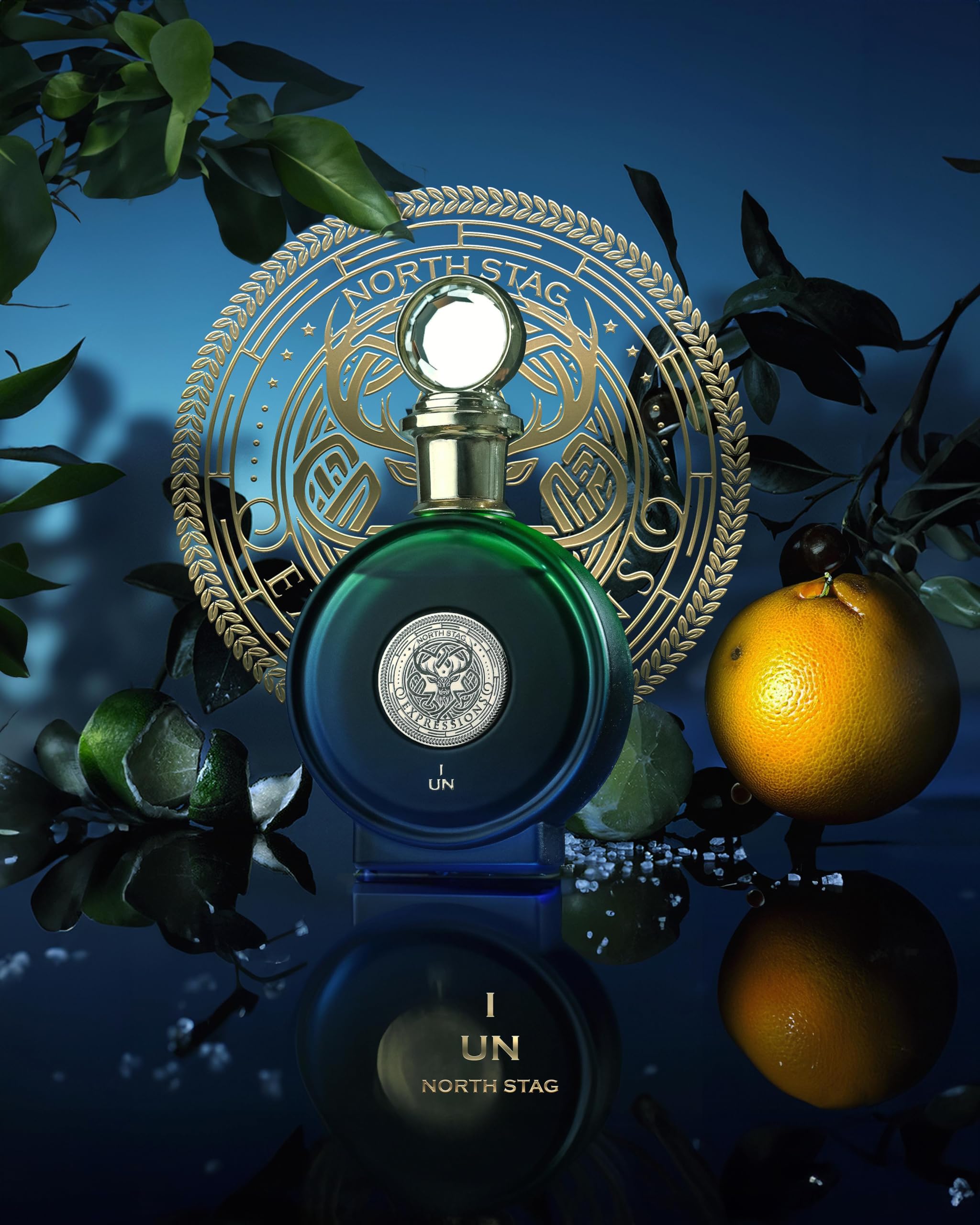 Amazon.com : Paris Corner | North Stag Expressions I UN Extrait de