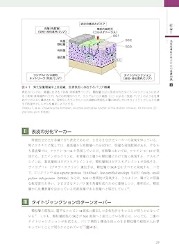 あたらしい美容皮膚科学 | 日本美容皮膚科学会, 尾見 徳弥, 宮田 成章