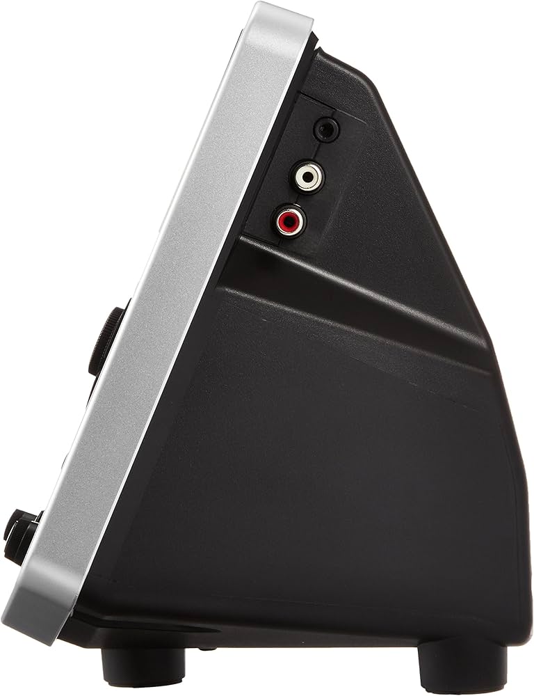 Amazon.com: Boss JS-10 eBand : Musical Instruments