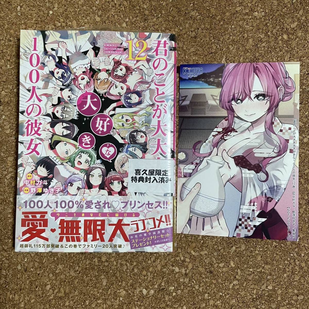 Amazon.co.jp: 君のことが大大大大大好きな100人の彼女 12 シュリンク