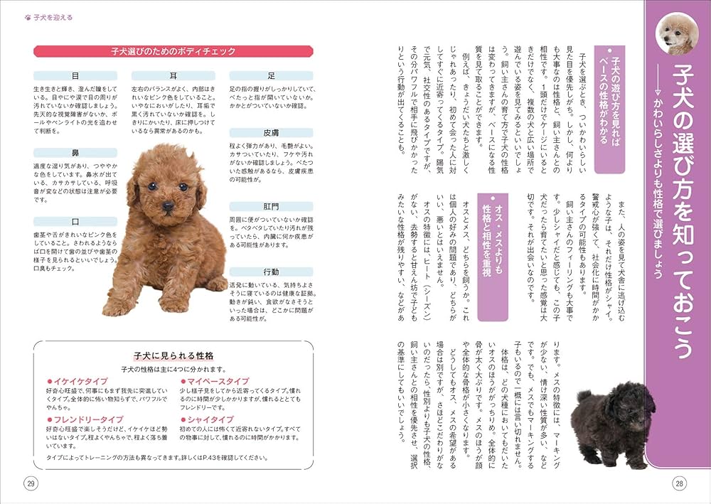 Amazon.co.jp: もっと楽しい トイ・プードルライフ : 愛犬の友編集部: 本