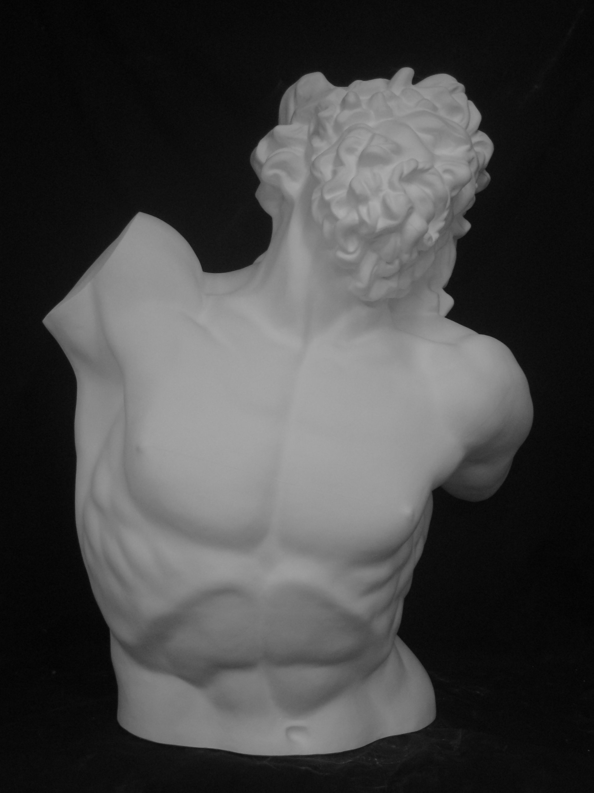 Amazon.co.jp: 石膏像 H－011 ラオコーン半身像 H．85cm