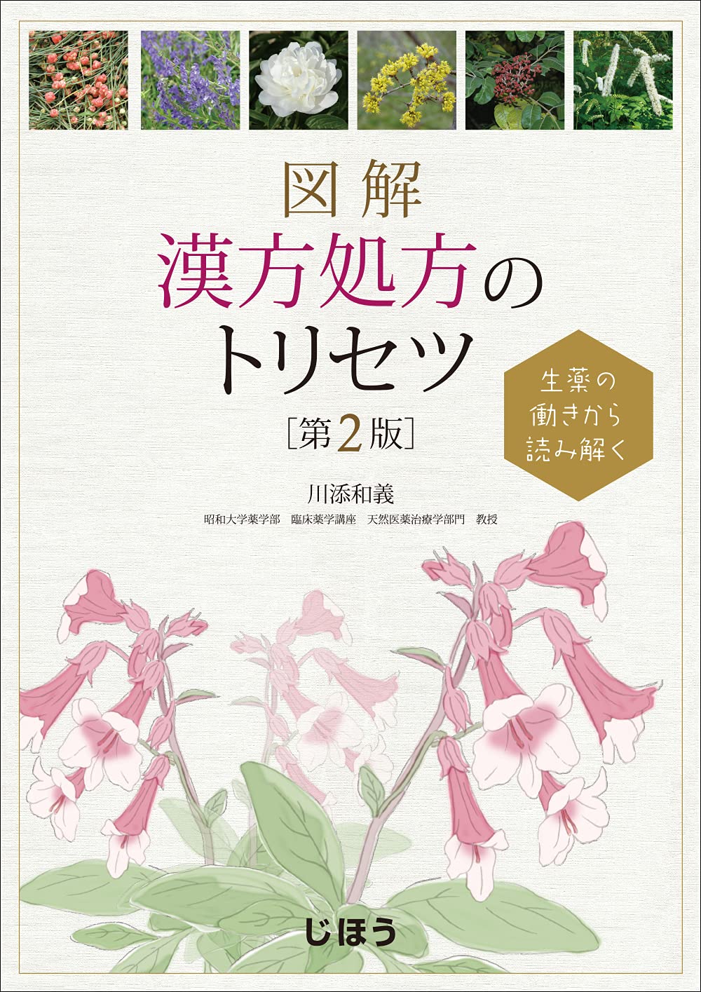 生薬の働きから読み解く 図解 漢方処方のトリセツ 第2版 | 川添 和義