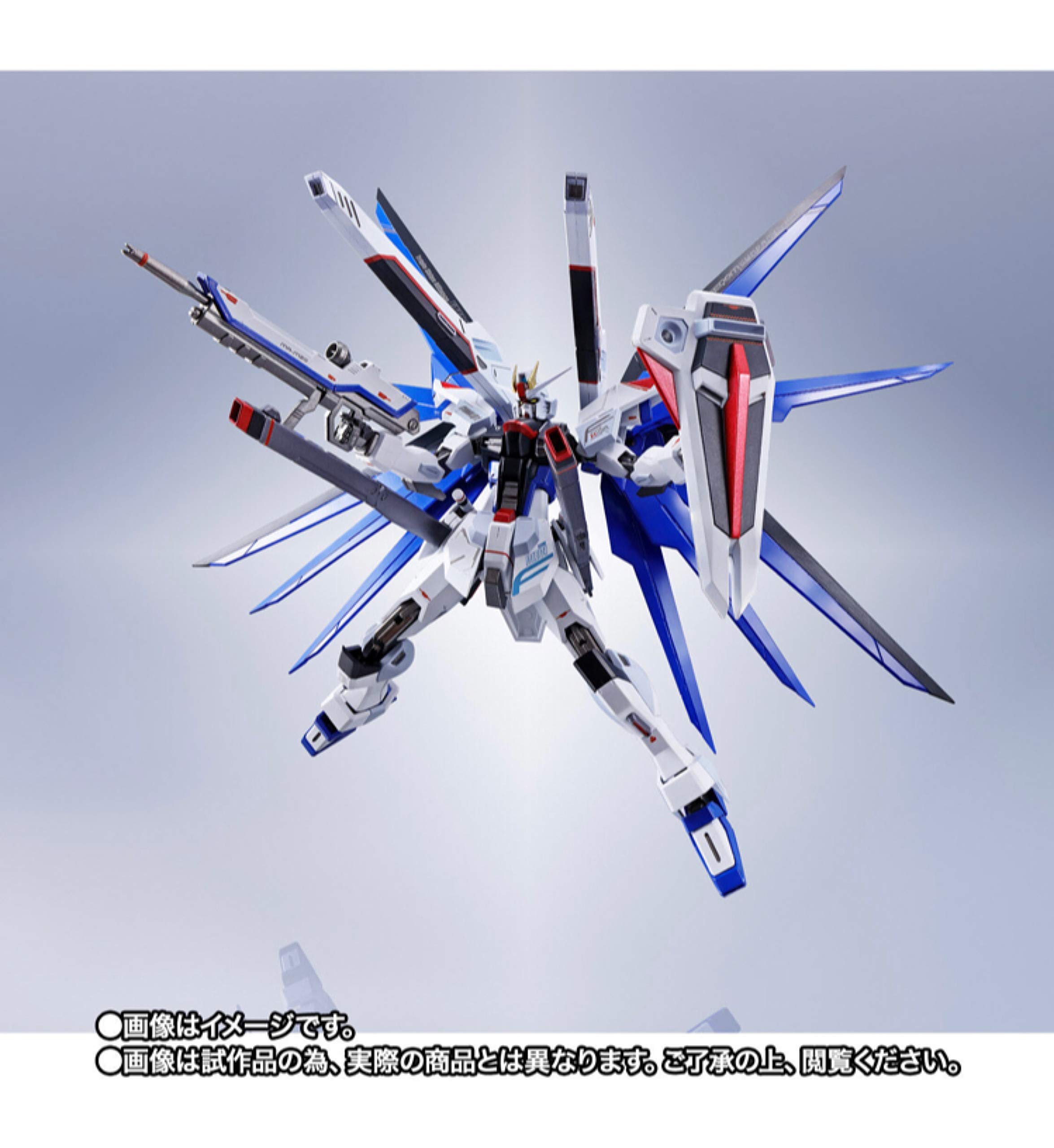 METAL ROBOT魂 リアルタイプカラー フリーダム ジャスティス セット