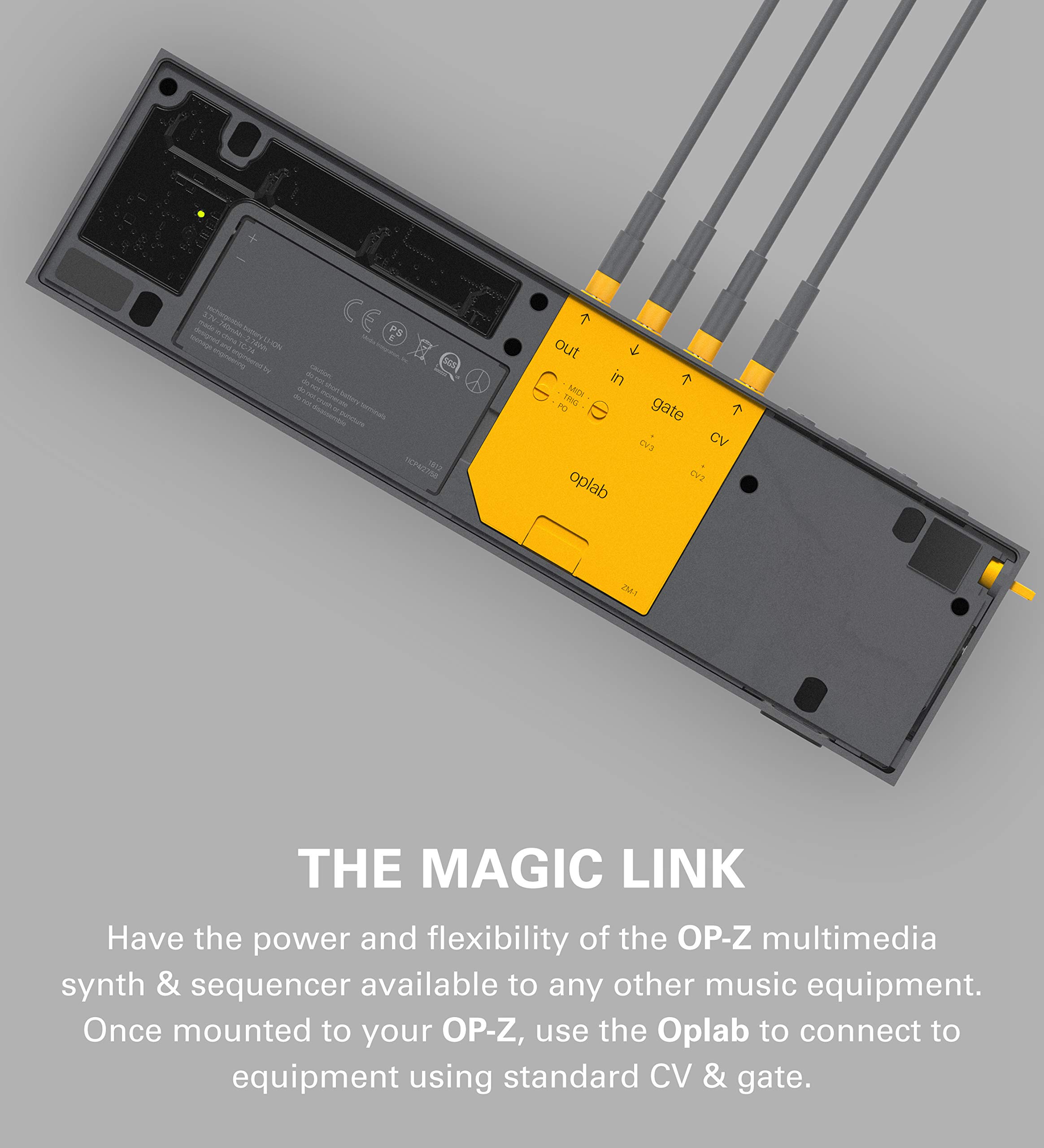 Amazon.com: teenage engineering ZM-1 oplab module expansion