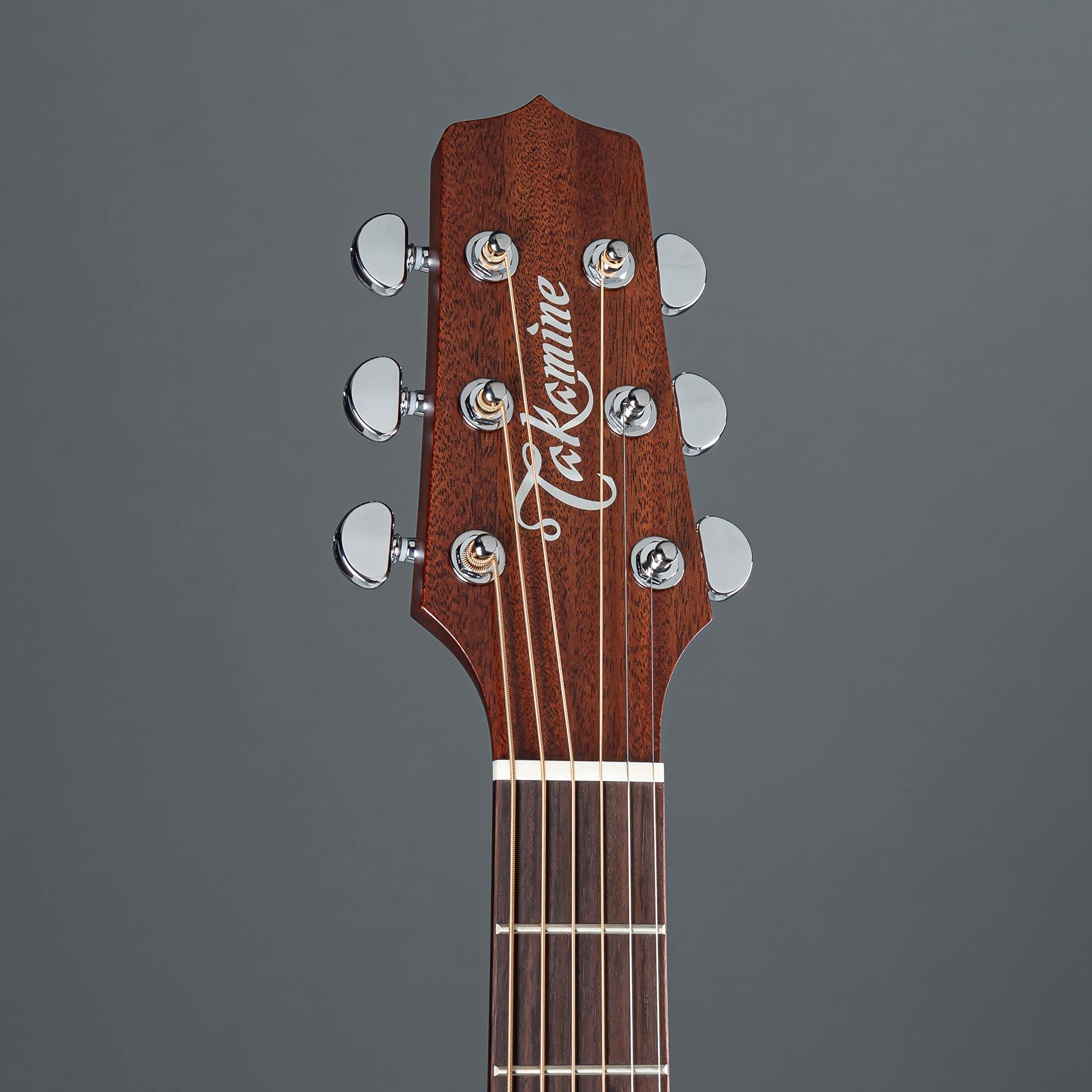 Amazon | Takamine タカミネ Pro Series 2 Dreadnought Cutaway