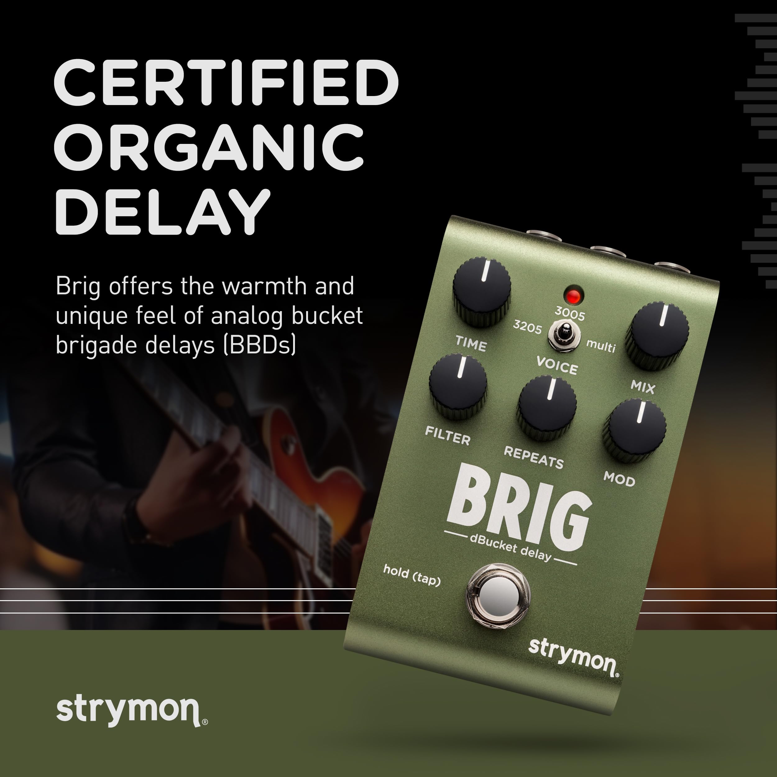 Amazon.com: Strymon Brig dBucket BBD Guitar Delay Pedal with 3