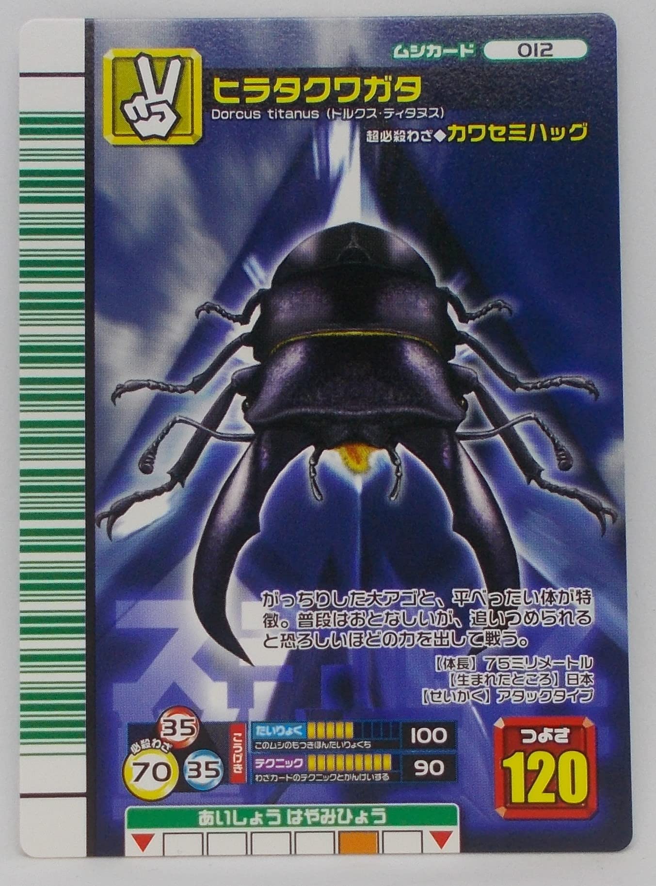 Amazon.co.jp: 【012-2007 ファースト】ヒラタクワガタ／甲虫王者