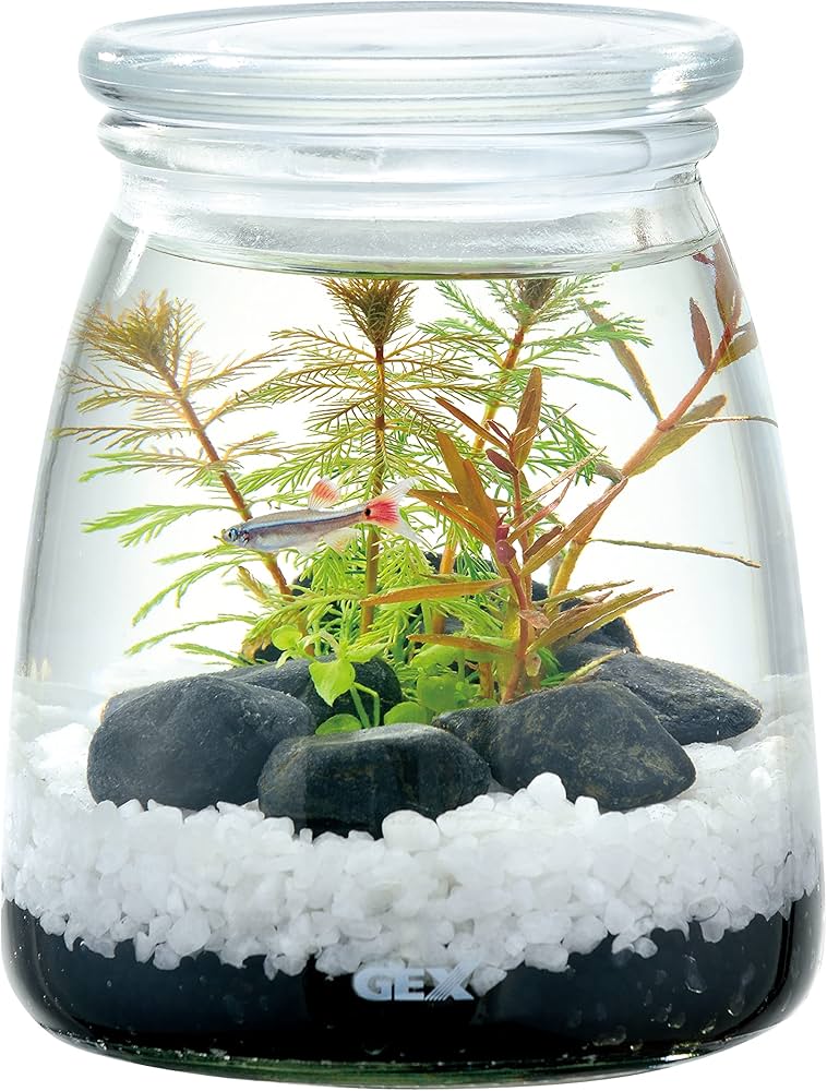 Amazon.co.jp: ジェックス ボトリウム ネイチャーセット ホワイト