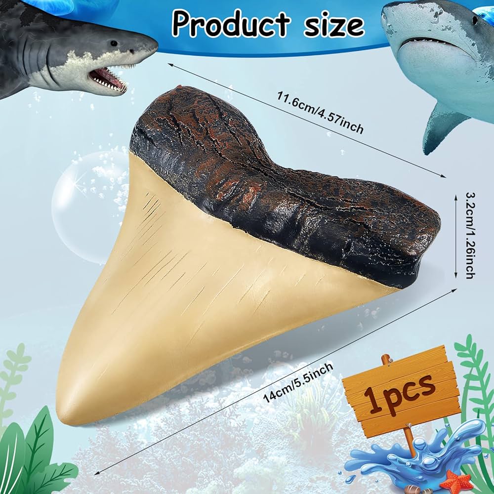 Amazon.co.jp: メガロドンの歯 5.5インチ フェイク ジャイアント サメ