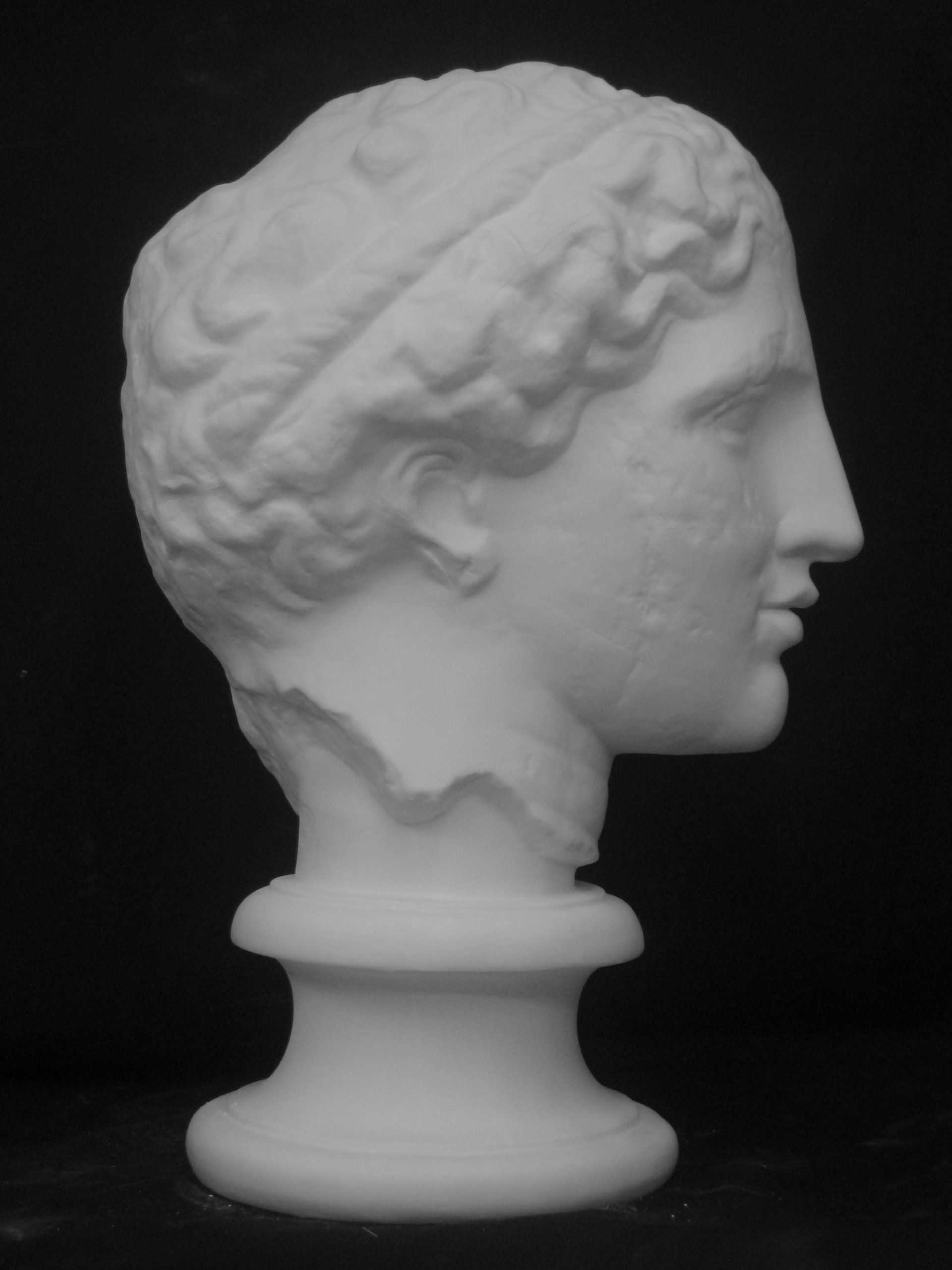 Amazon.co.jp: 石膏像 S－202 パルテノン首像（ラボルト） H