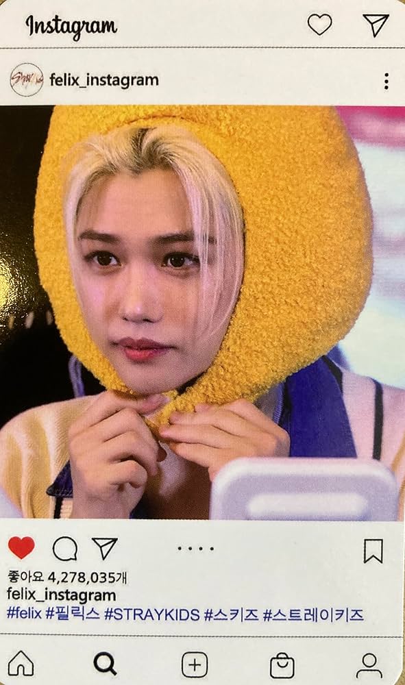 Amazon.co.jp: フィリックス グッズ フォトカード 60枚セット ポカ