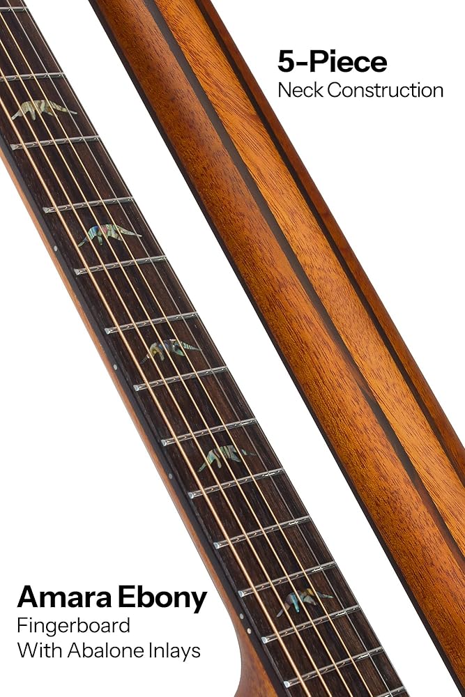 Amazon.co.jp: Bromo Guitars ブロモギターズ BAR5CE エレクトリック