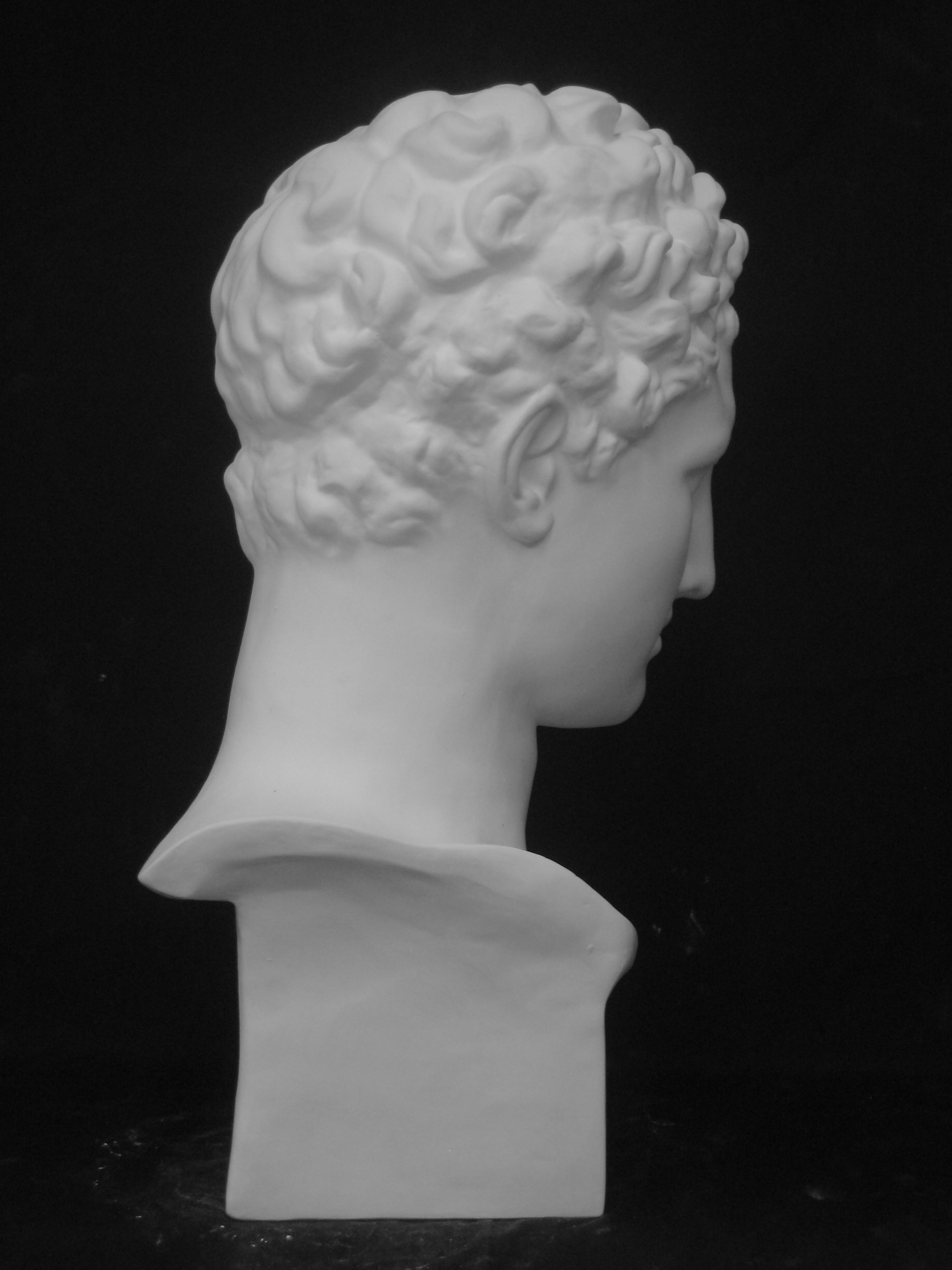 Amazon.co.jp: 石膏像 S－227 ヘルメス首像 H．55cm : ホーム