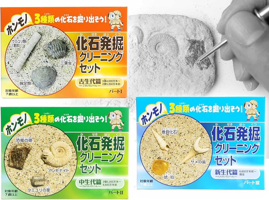 Amazon | TOKYO SCIENCE 実験・体験シリーズ 「renew 化石発掘