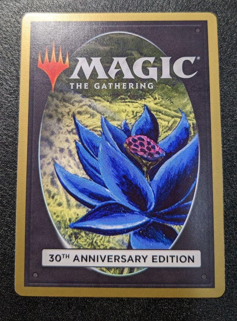 Amazon.co.jp: MTG 冬の宝珠 Winter Orb 旧枠 30A 英語 : おもちゃ