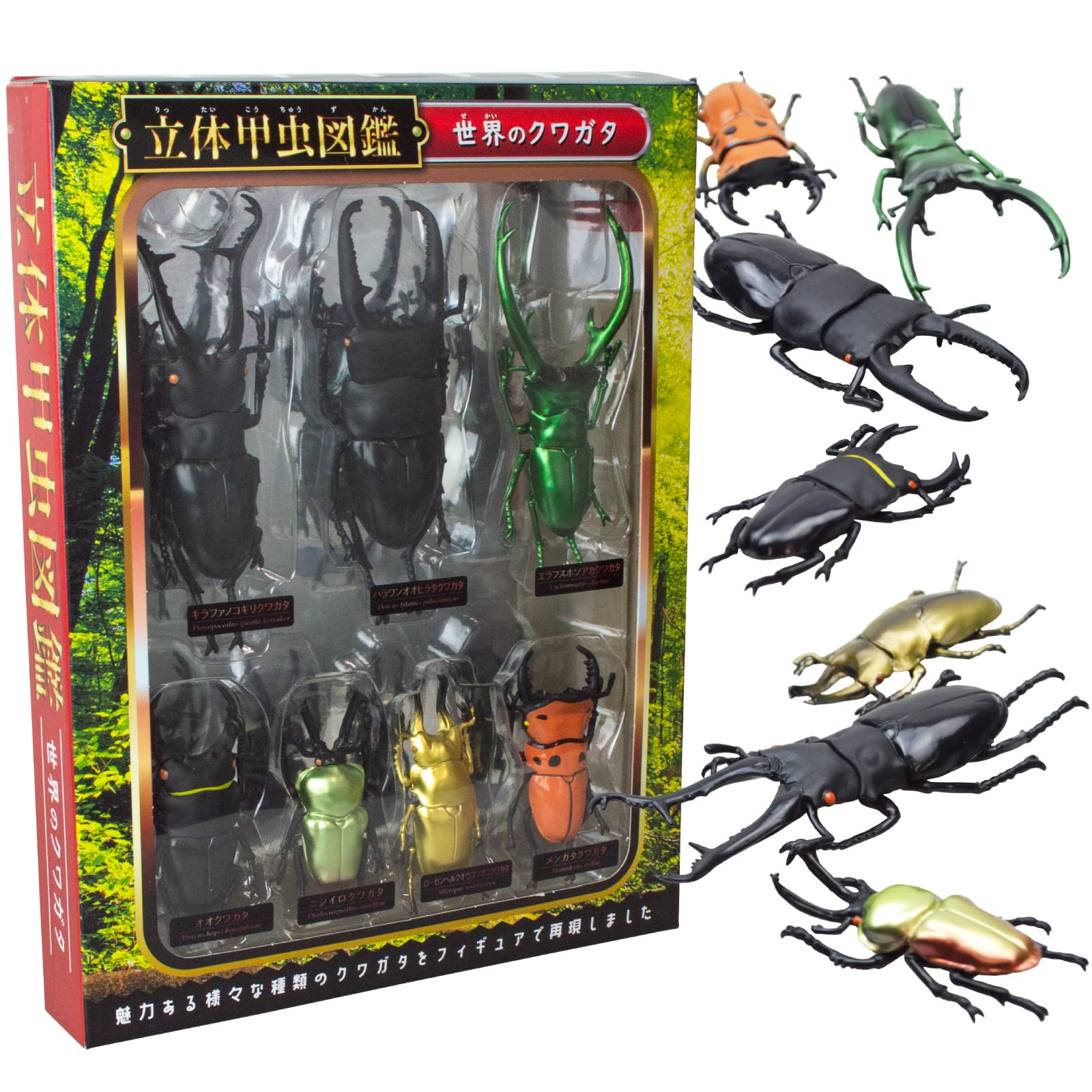 Amazon.co.jp: ザ・アクセス フィギュア クワガタ 立体図鑑 動物 昆虫