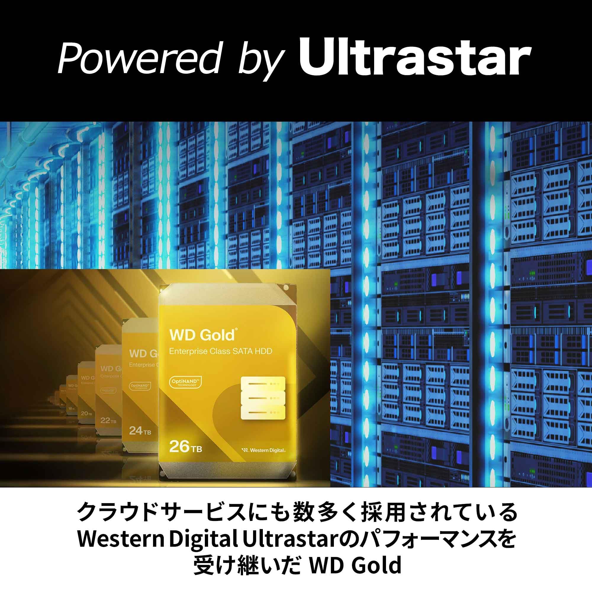 Amazon | 【Amazon.co.jp限定】Western Digital ウエスタンデジタル WD
