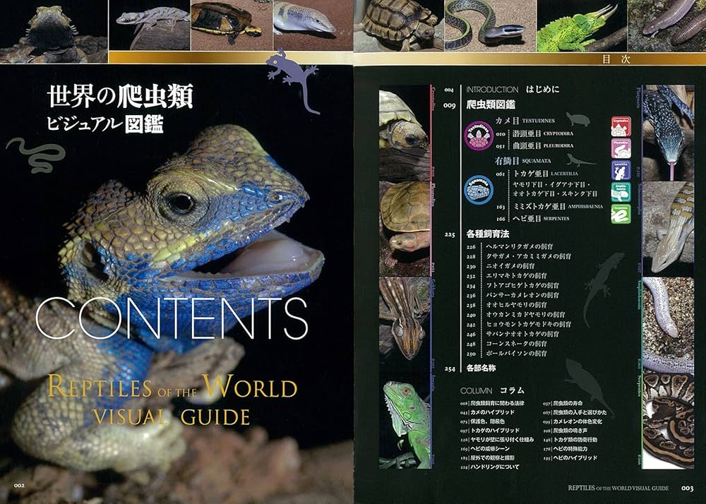 Amazon.co.jp: 世界の爬虫類ビジュアル図鑑: カメ・トカゲ・ミミズ