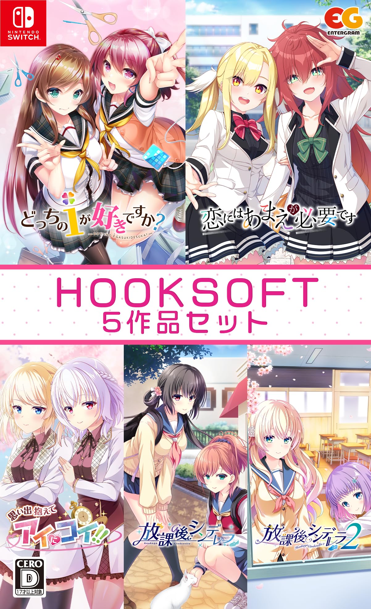 Amazon.co.jp: HOOKSOFT5作品セット -Switch : ゲーム