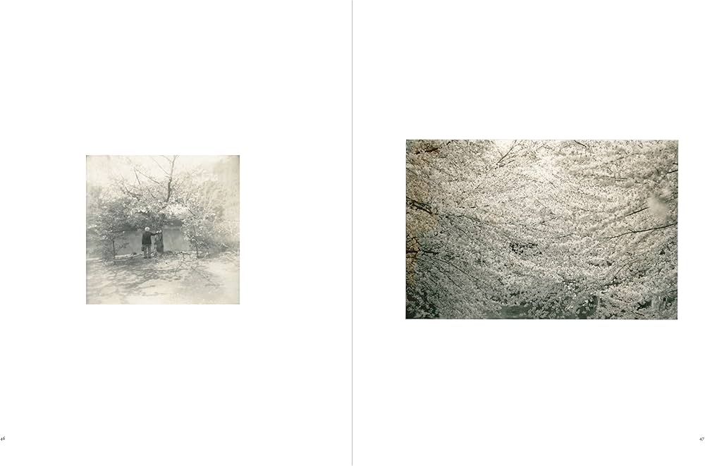 小さきもの、沈黙の中で -Small Things in Silence | 山本 昌男 |本