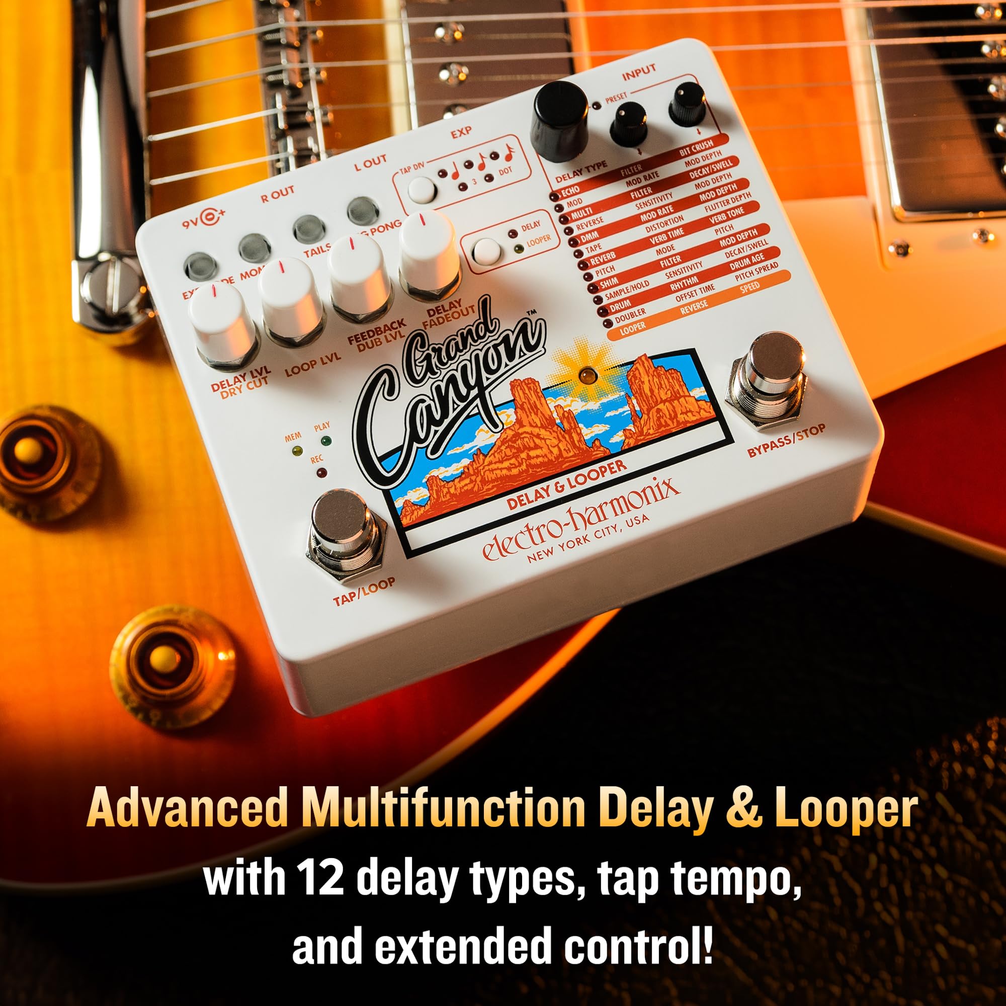 Amazon.com: Electro-Harmonix Grand Canyon Delay & Looper Pedal