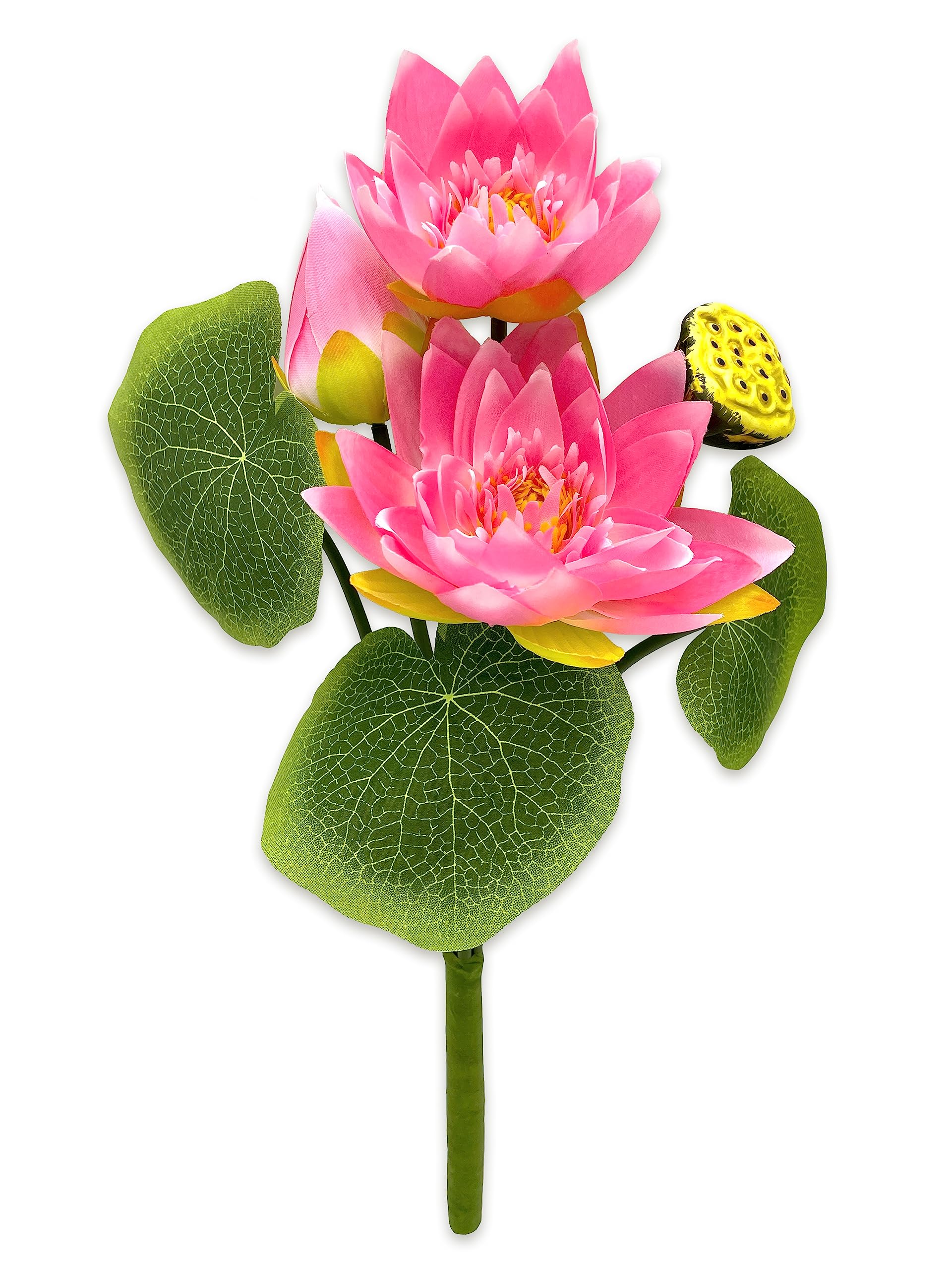 Amazon｜[ 2025年 ] お彼岸 お盆 お墓参り 蓮の花 ハス 1束 花 飾り